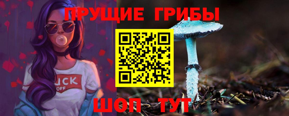 Галлюциногенные грибы мухоморы Славгород