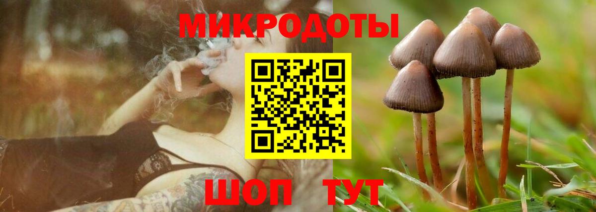 Славгород  Галлюциногенные грибы Psilocybine cubensis  Вход с VPN  Псилоцибиновые грибы Psilocybine cubensis 